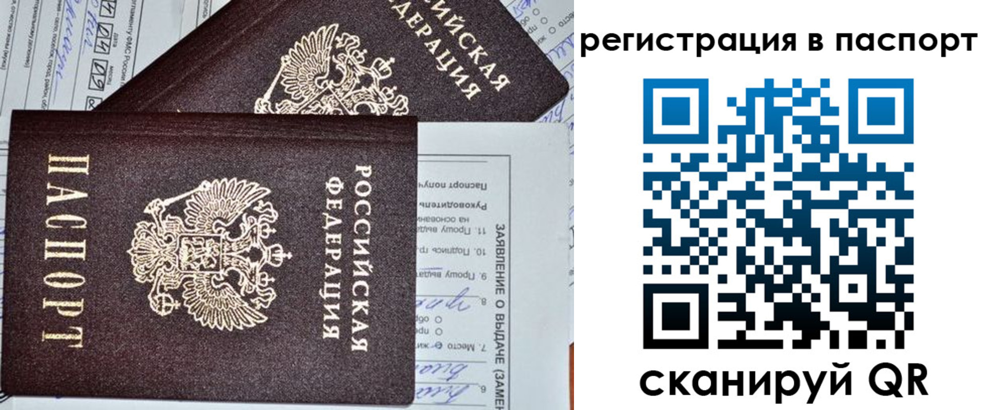прописка законно в Холмске